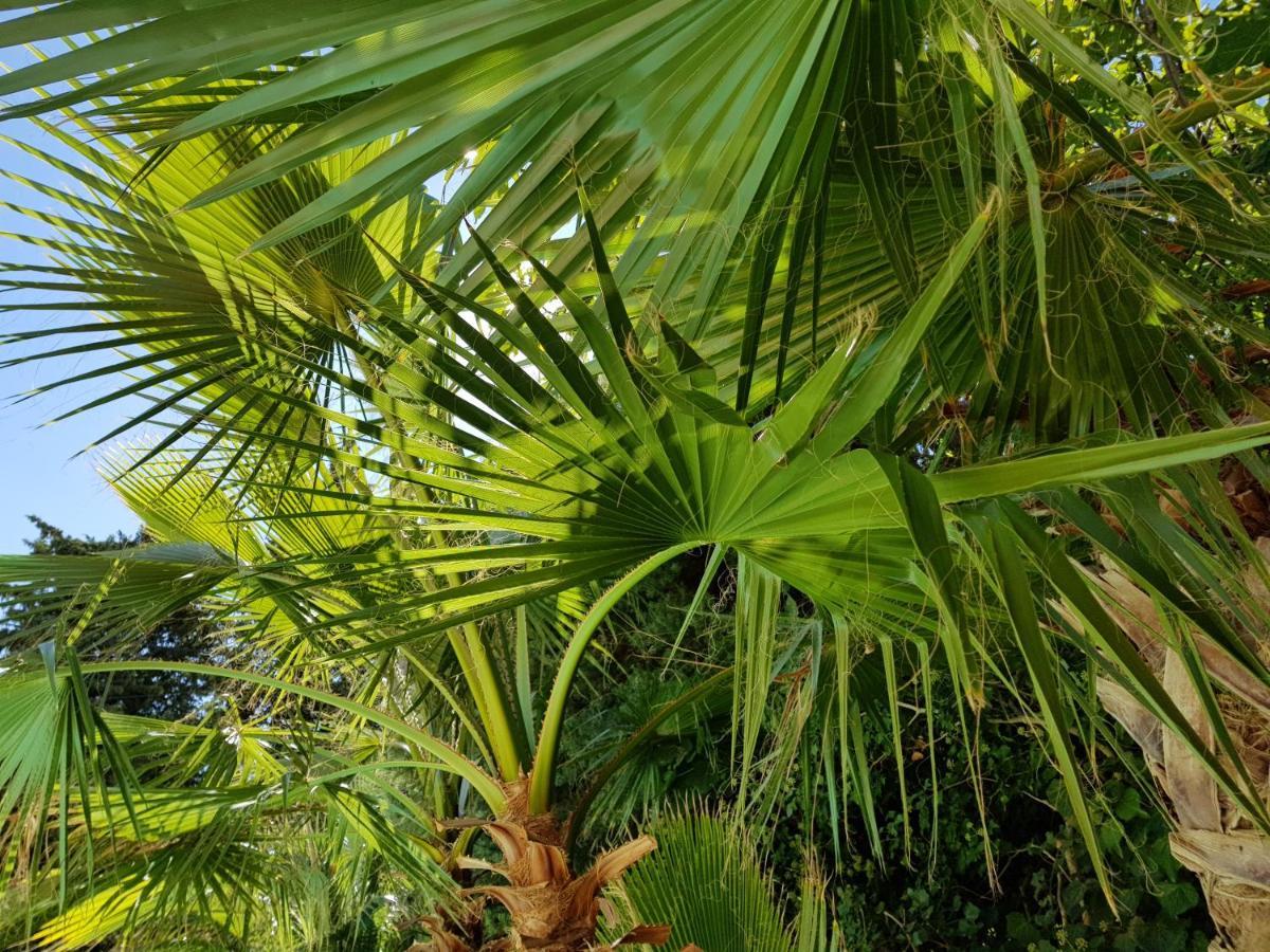 Villa Bambou Piscine Chauffee Langlade Buitenkant foto